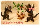 A.N.B.  - 
3 kittens playing in the snow (merry christmas) -
Postcard - 
1C2193-1