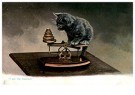 A.N.B.  - 
Cat -
Postcard - 
1C2246-1