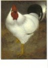 Jan Mankes (1889-1920)  - 
White Rooster -
Postcard - 
A11129-1