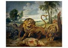 Paul de Vos (1595-1678)  - 
A Lion and Three Wolves -
Postcard - 
A112199-1