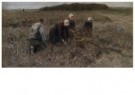 Anton Mauve (1838-1888)  - 
Potato harvesters, ca. 1887-1888 -
Postcard - 
A11590-1