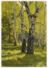 Isaac Levitan(1860-1900)  - 
Birch Grove -
Postcard - 
A16216-1
