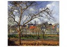 Camille Pissarro (1830-1903)  - 
On Orchard In Pontoise In Winter 1877 -
Postcard - 
A19930-1
