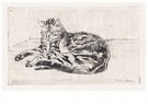 Théophile Steinlen(1859-1923)  - 
Cat On The Floor -
Postcard - 
A22213-1