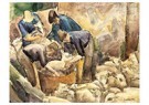 Leo Gestel (1881-1941)  - 
The sheep shearers (circa 1926) -
Postcard - 
A24262-1