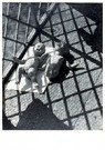 Laszlo Moholy-Nagy (1895-1946) - 
Dolls, 1926 -
Postcard - 
A25020-1