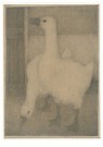 Jan Mankes(1889-1920)  - 
Two geese, 1911 -
Postcard - 
A25217-1