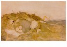 Jan Mankes(1889-1920)  - 
Bird's nest in the dunes, 1909 -
Postcard - 
A25224-1