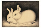 Jan Mankes(1889-1920)  - 
Two little rabbits -
Postcard - 
A25247-1