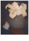 Jan Mankes(1889-1920)  - 
Arums, 1911 -
Postcard - 
A25273-1