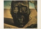 Salvador Dali (1904-1989)  - 
The Face of the War, Le visage de la guer -
Postcard - 
A2665-1