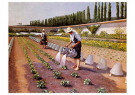 Gustave Caillebotte (1848-1894 - 
The Gardeners, 1875-1877 -
Postcard - 
A26886-1