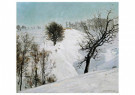 Eugen Felix Prosper Bracht 184 - 
Snowy Fields (Wechselburg an der Mulde), 1911 -
Postcard - 
A36233-1