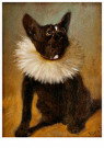 Arthur Heyer (1872-1931)  - 
French bulldog, -
Postcard - 
A36319-1