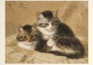 H. Ronner-Knip (1821-1909)  - 
Saloon Cats -
Postcard - 
A3694-1