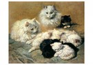 H. Ronner-Knip (1821-1909)  - 
Cats and kittens, 1893 -
Postcard - 
A38883-1