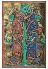 Anoniem  - 
Perindeus an Indian tree /BL. -
Postcard - 
A4281-1