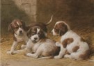Otto Eerelman (1839-1926)  - 
Three little dogs -
Postcard - 
A5086-1