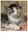 H. Ronner-Knip (1821-1909)  - 
A curious kitten, 1893 -
Postcard - 
A62710-1