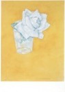 Piet Mondrian (1872-1944)  - 
White rose in glass -
Postcard - 
A6597-1