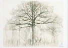 Piet Mondrian (1872-1944)  - 
Study Trees I, 1912 -
Postcard - 
A6811-1