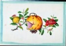 Anoniem  - 
Fruits from album of Chinese paintings -
Postcard - 
A7850-1