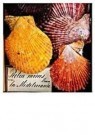 Nicole Segers (1960)  - 
Variegated Scallop Shell -
Postcard - 
A9573-1