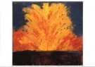 James S. Ensor (1860-1949)  - 
Fireworks -
Postcard - 
A9911-1
