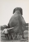 Mike Hollist  - 
My pal the elephant -
Postcard - 
B0048-1