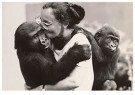 Mike Hollist  - 
Hollist/Rescued gorilla /WPP -
Postcard - 
B1058-1