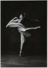 Nancy Ellison (1936)  - 
American Ballet Theatre, Paloma Herera , soloist -
Postcard - 
B2690-1