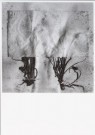 Paul den Hollander (1950)  - 
Hortus Siccus X #1 -
Postcard - 
B2859-1