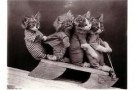 Spaarnestad Fotoarchief,  - 
Kittens on sled -
Postcard - 
B3213-1