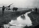 Anoniem,  - 
Rice fields near Jogjakarta -
Postcard - 
B3789-1