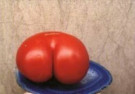 Paul Huf (1924-2002)  - 
Tomato -
Postcard - 
C9357-1