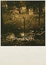 Jan Saudek (1935)  - 
Water faucet in forest -
Postcard - 
F1711-1