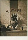 Didier Gaillard (1953)  - 
A few days in Firenze -
Postcard - 
F1862-1