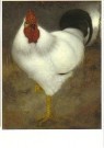 Jan Mankes (1889-1920)  - 
Witte Haan -
Postcard - 
PC086-1
