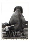 Mike Hollist  - 
My Pal the elephant / 40 X 60 cm / D -
Postcard - 
PS295-1