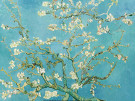 Vincent van Gogh (1853-1890)  - 
Almond blossom, 1890 -
Postcard - 
RPCA75765-1